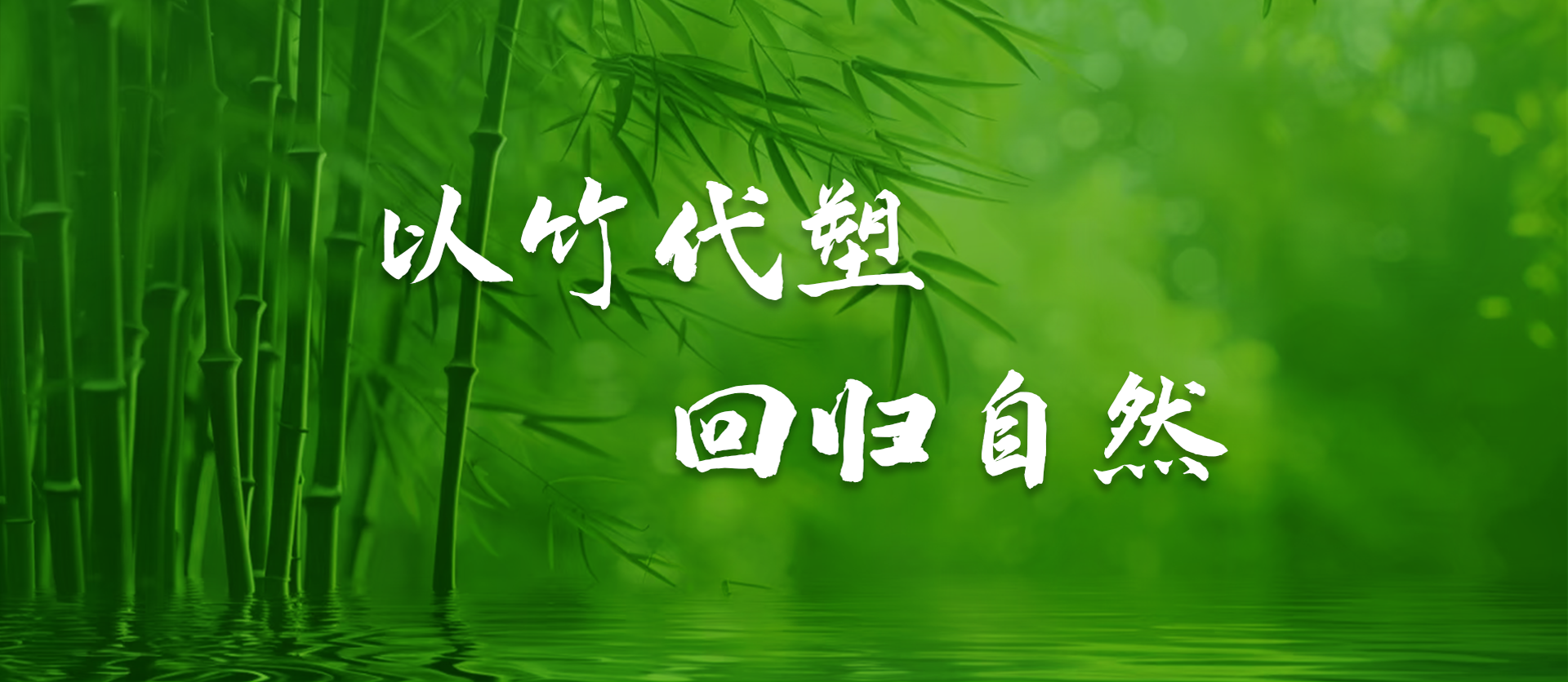中共赤水市人民政府党组2025年第3次