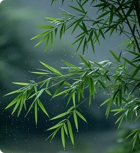 资源保护与可持续发展
