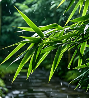 产业链开发