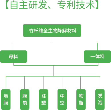 赤水市以竹代塑降解新材料项目