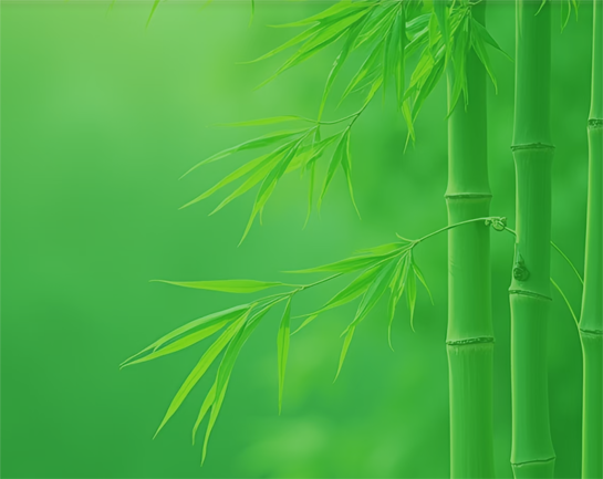 二期项目投资需求